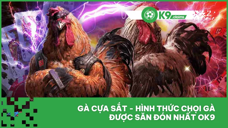 Gà Cựa Sắt - Hình Thức Chọi Gà Được Săn Đón Nhất Ok9