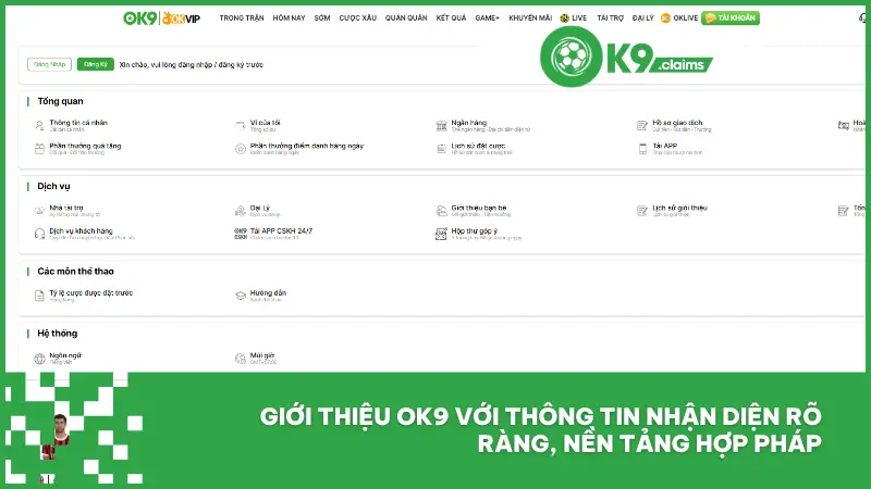 Những thông tin giới thiệu cốt lõi giúp người chơi có cái nhìn toàn diện hơn về ok9