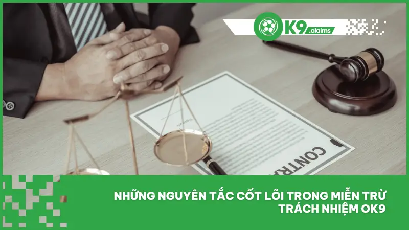 Miễn trừ trách nhiệm bao gồm quy định ràng buộc giữa nền tảng và người chơi