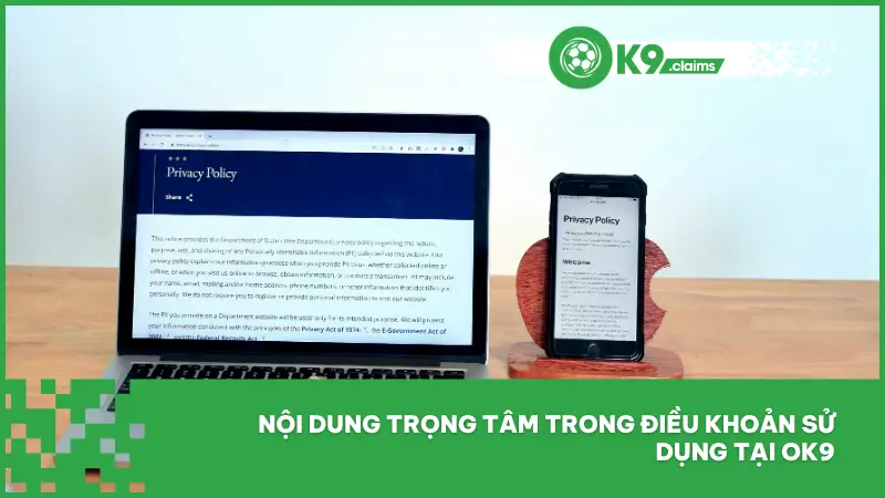 Điều khoản sử dụng bao gồm nhiều mục nội dung rõ ràng